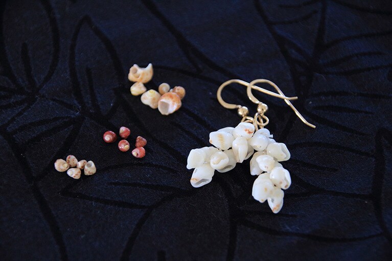 完成したピアス。色や大きさが違う貝殻もある。