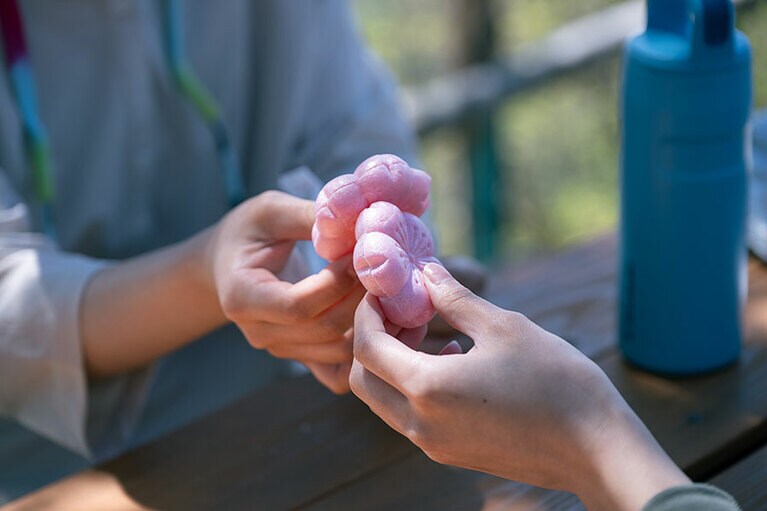 桜の花びらに型取られた「御代の春 紅」で“カンパイ！”