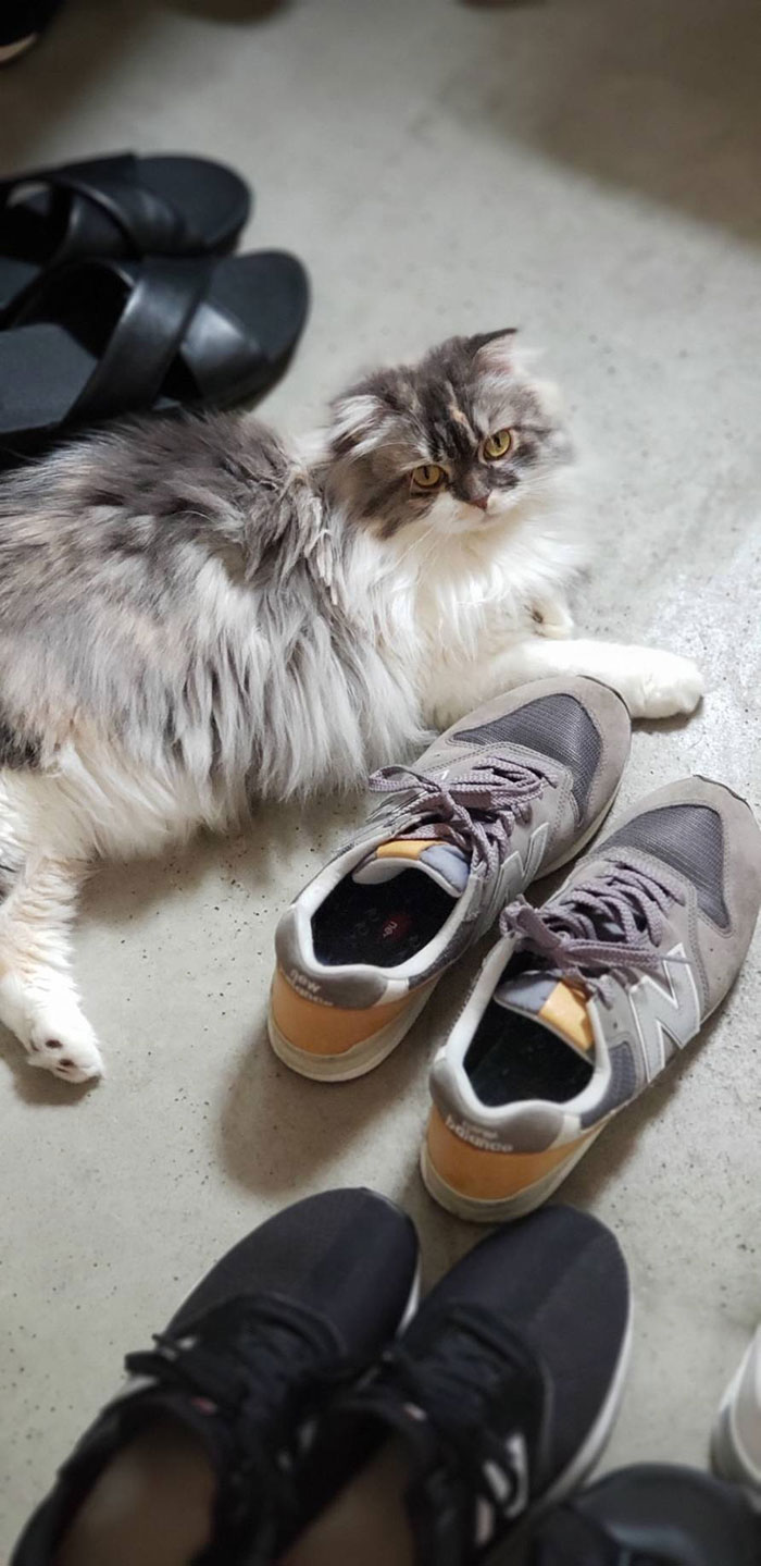 おもちちゃんが大好きな靴。