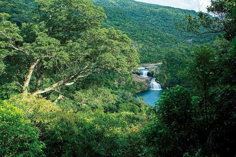 【西表島】密林の奥に姿を現すマリユドゥの滝。本格的なトレッキングも堪能できる。