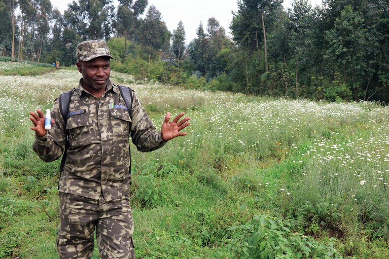 RDBのガイド。ヴォルカノ国立公園のアクティビティは全て許可証が必要で彼らが案内。©Yumi Yamaguchi