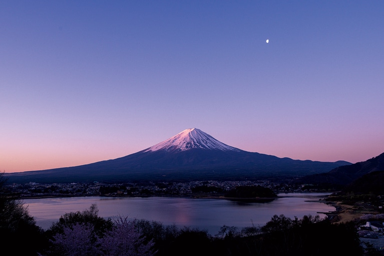 河口湖越しの富士山。初夏は、北岸の花街道にラベンダーが咲き誇る。