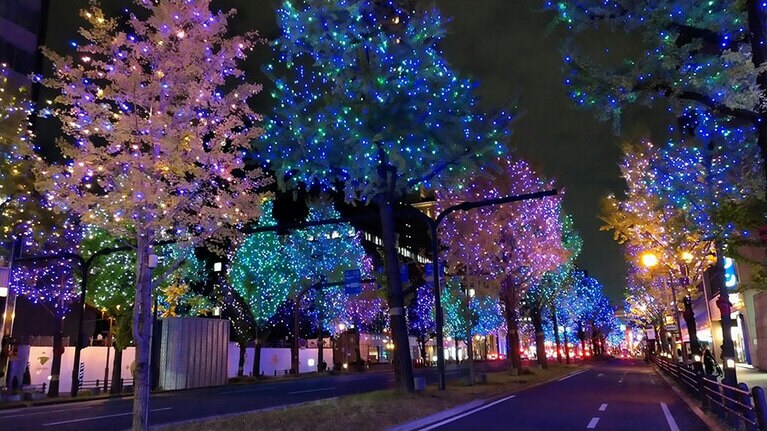 【大阪府】御堂筋イルミネーション。