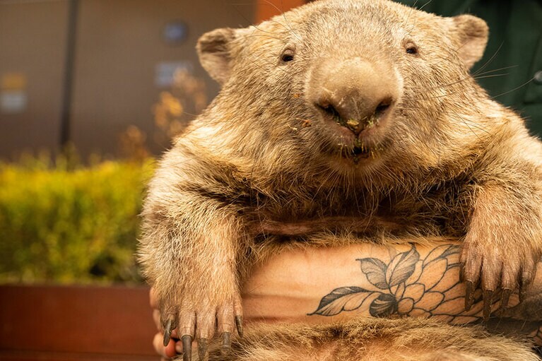 なんてほのぼのする表情。