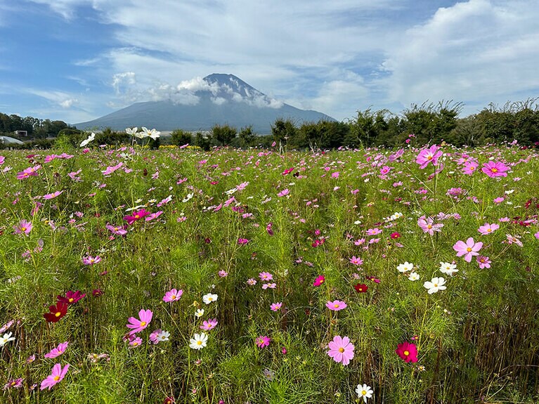 花の都公園。