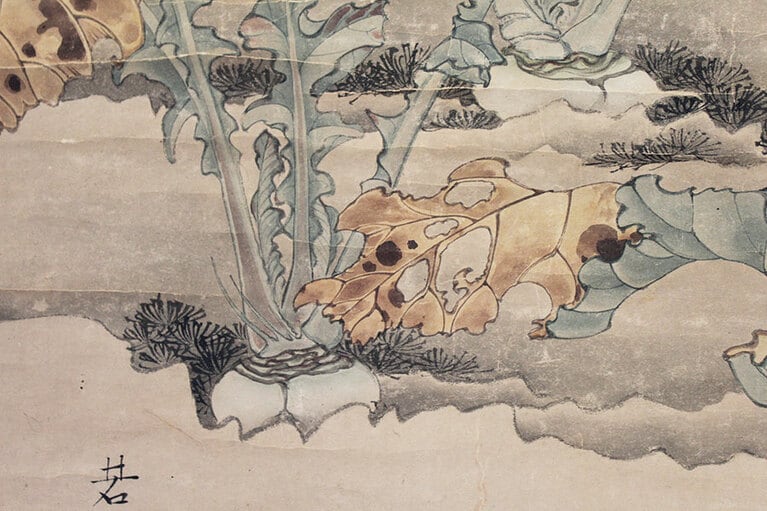 土から少しだけ顔を出す蕪。病葉(わくらば)は後の作品にもよく見られる。