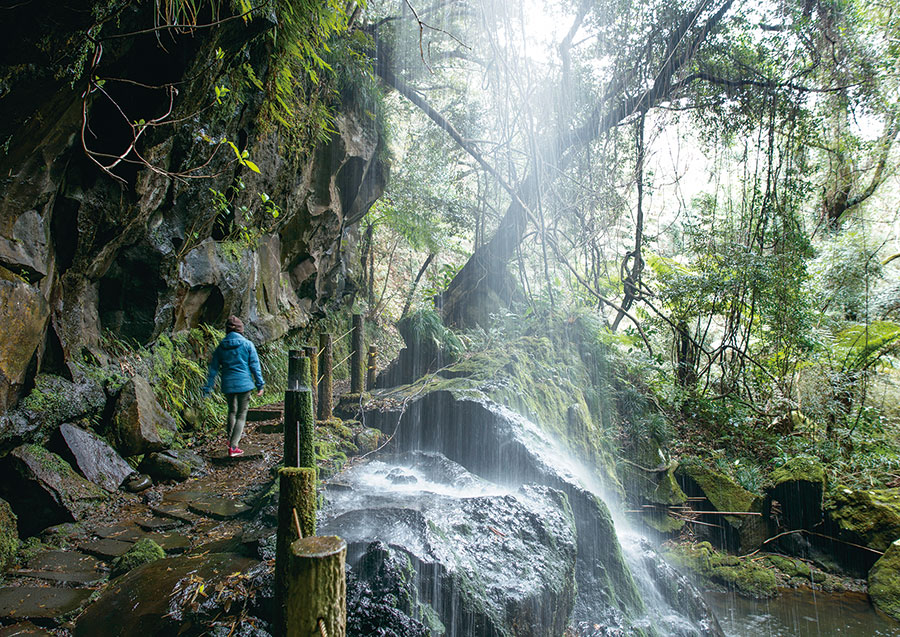 その名のとおり、流れ落ちる滝を裏から見られる裏見ヶ滝。亜熱帯植物が茂る遊歩道でマイナスイオンを全身に。