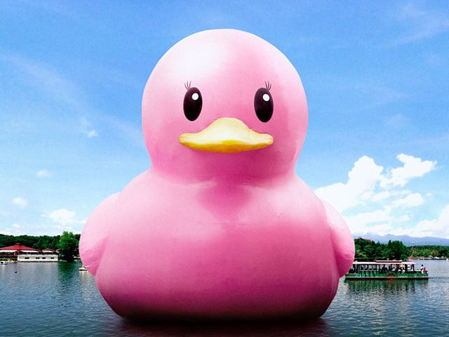 img_015e4924a3655dc522f4e5a7df