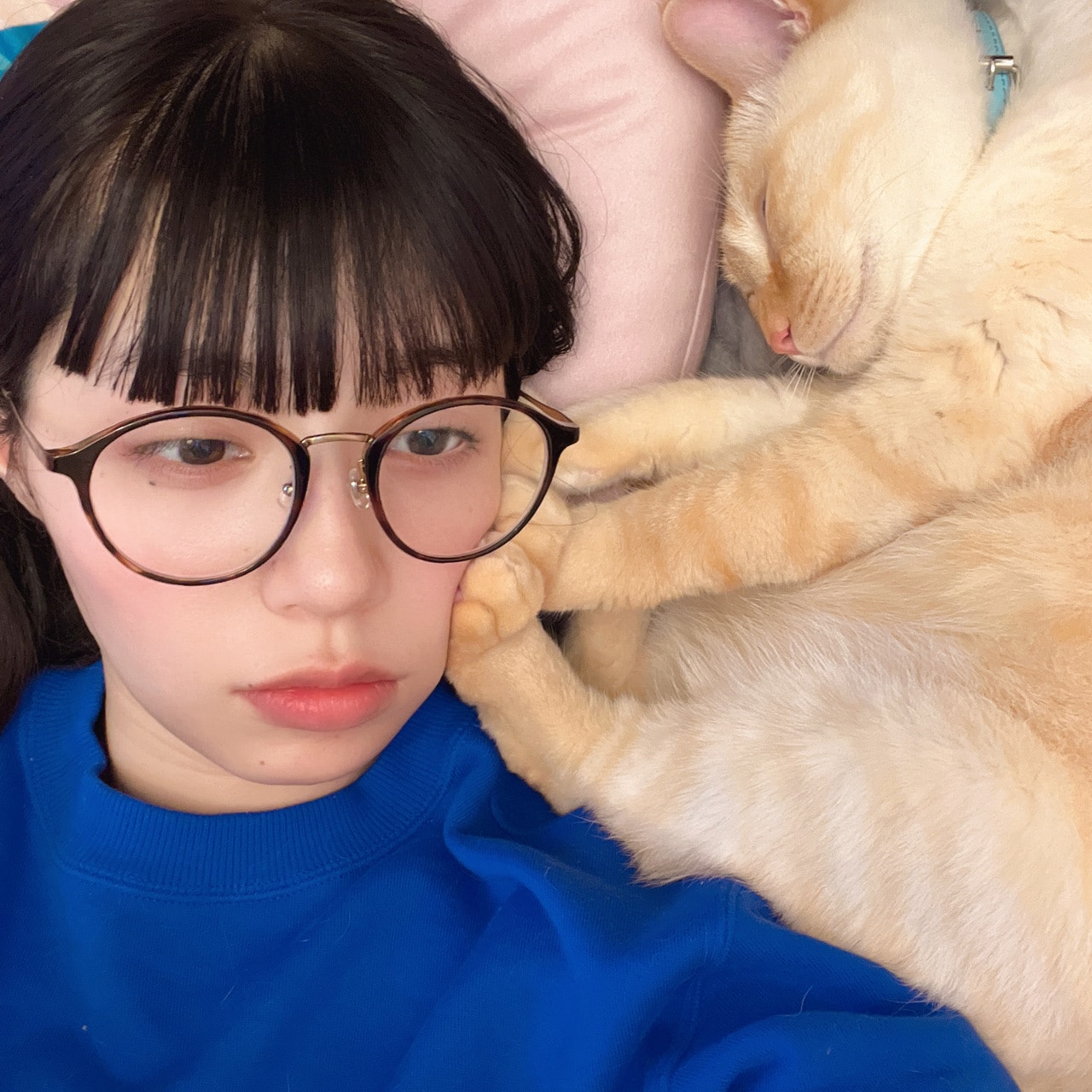 リンダカラー∞・りなぴっぴさんとレッドポイントのライオネル君(オス、5歳)。