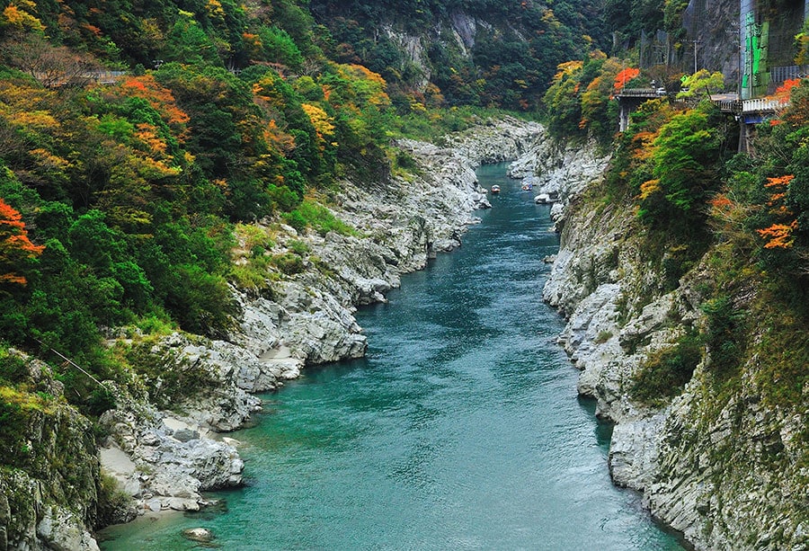 【徳島県】大歩危峡の紅葉。