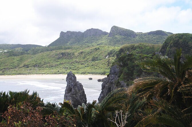 祝・世界自然遺産！ 沖縄の大自然 “やんばる3村”が一線を画す理由
