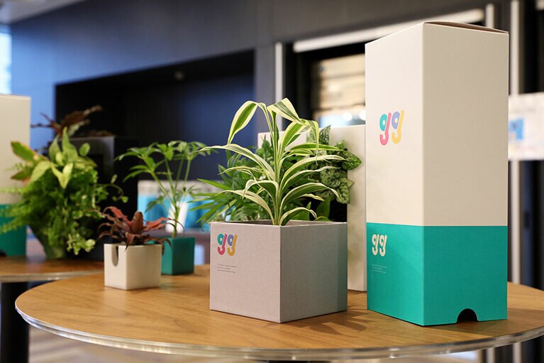 グレーのBoxの内側が耐水構造のため、そのまま鉢として使える「GG Box Vase」。