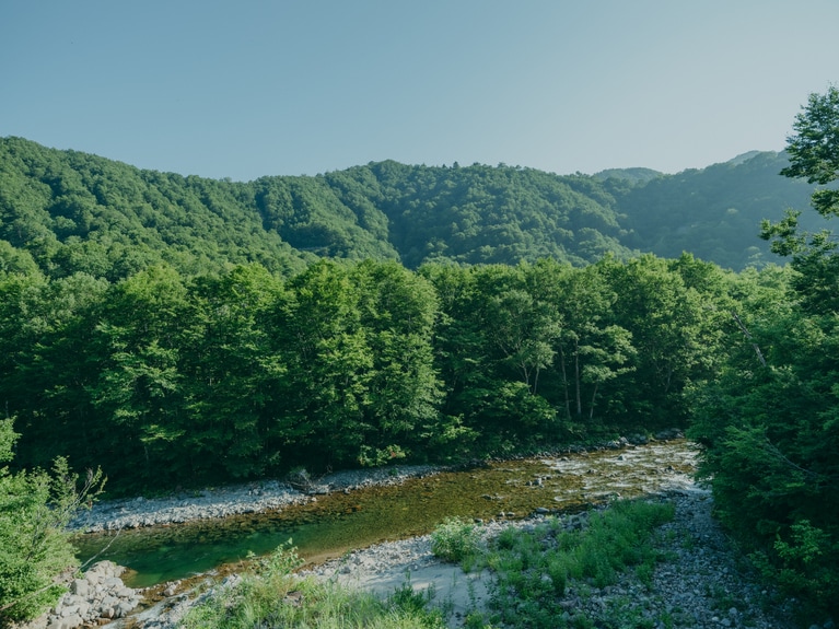 銀山湖に注ぐ清流「北ノ又川」。イワナやヤマメ、ニジマスなどが生息する美しい川です。