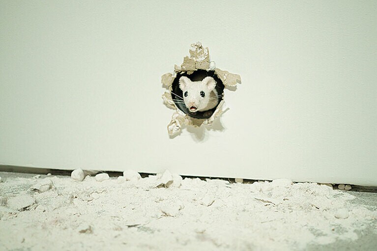 開館当初からのマスコット、ライアン・ガンダー氏の作品。