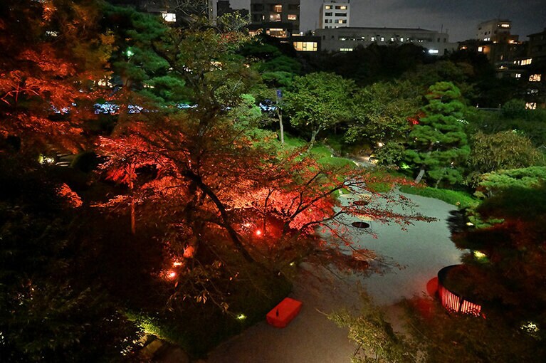 歴史ある庭園の紅葉。テラス席はチャージ500円。