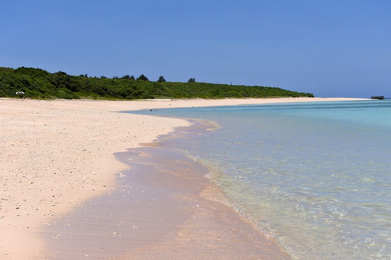 ほんのりピンク色に見える波打ち際。