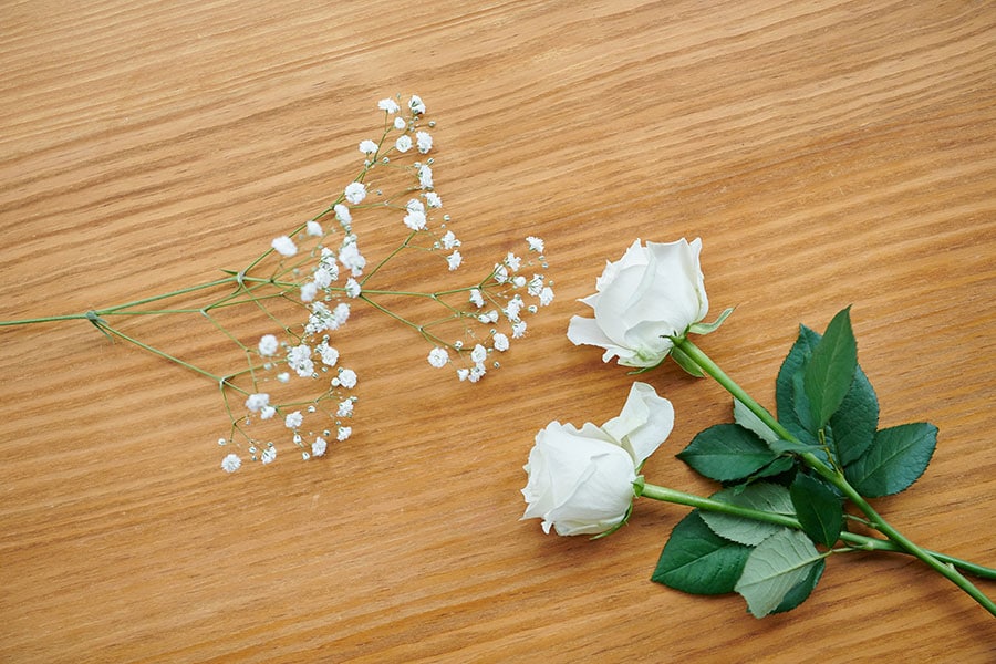白い花のほうが染まり具合がわかりやすいです。