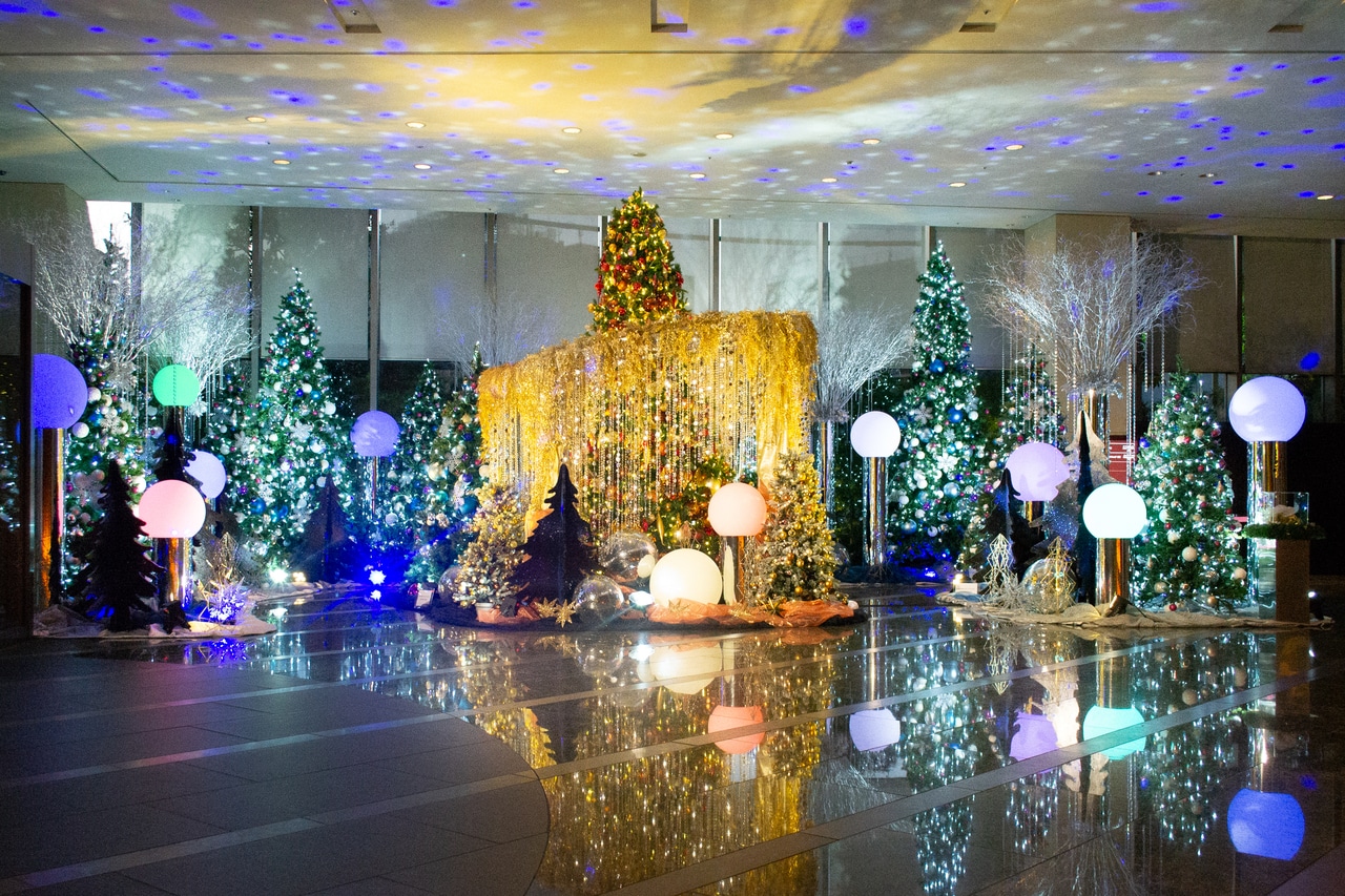 ピカピカに床に映る様子も美しい。