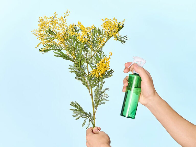 花から葉にかけてまんべんなく吹きかけます。