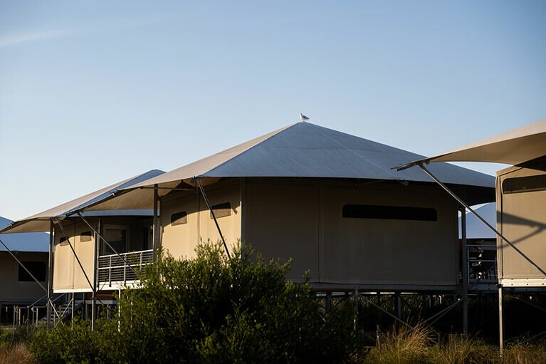 スーペリアファミリーテント。