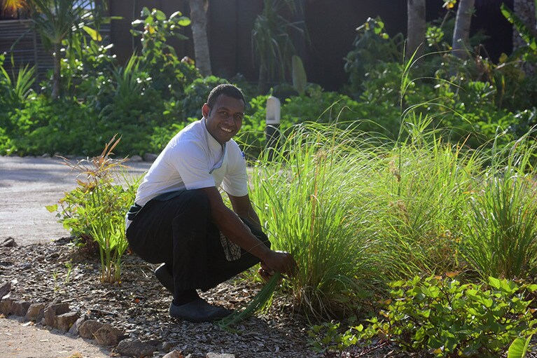 テイテイ・ピッツェリアに隣接して、オーガニックガーデンが。ここで育った野菜やハーブがテーブルに並ぶことも。