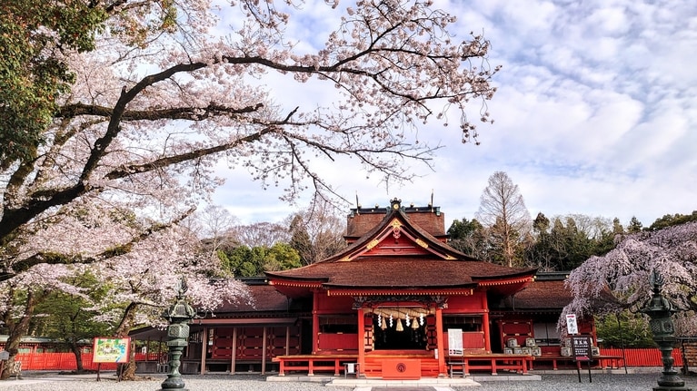 「富士山本宮浅間大社」の拝殿。境内にある「湧玉池」は、1日あたり30万トンもの富士の伏流水が湧き出ており、かつては富士山頂を目指す登山者が、入山前に禊を行なっていた聖なる池。