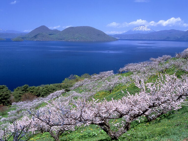 壮瞥公園／北海道