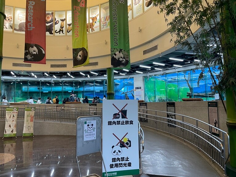 展示室にその日のパンダの名前が貼られているので、ぜひチェックしてみてください。一番愛嬌があるのが圓仔と言われています。