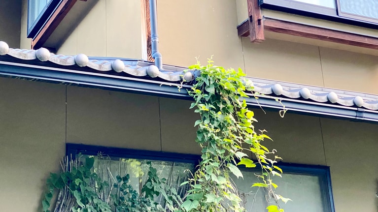 写真はイメージです。写真：moonmoon/イメージマート