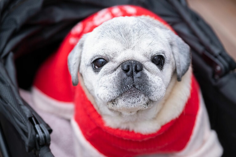 アザーカット。