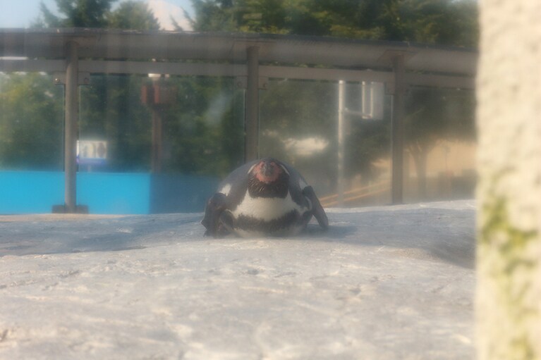 ちょっと個性的な性格？