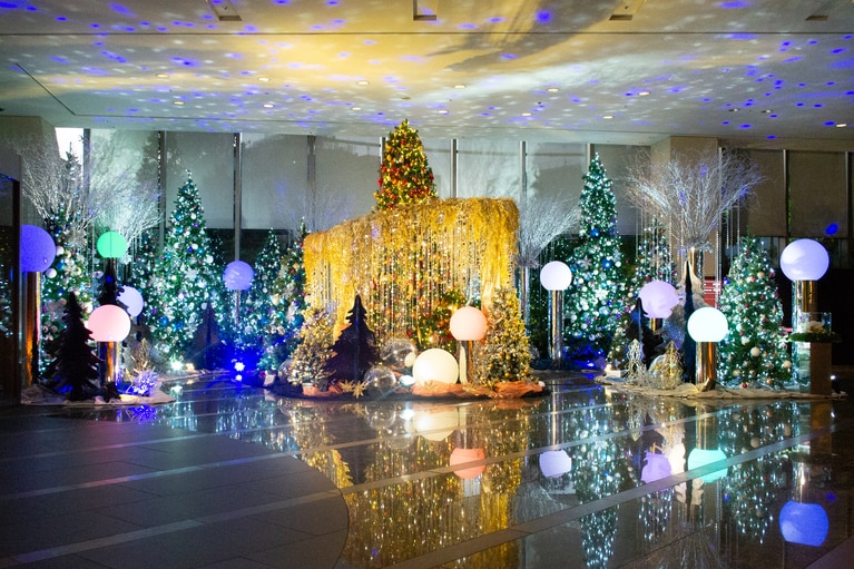 ピカピカに床に映る様子も美しい。