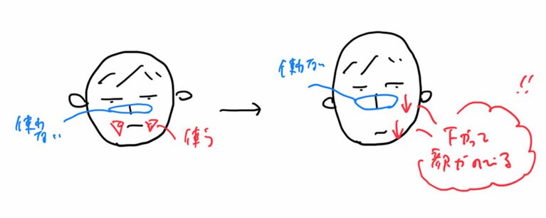 鼻呼吸では使う「舌付近」の筋肉も口呼吸では使わない。