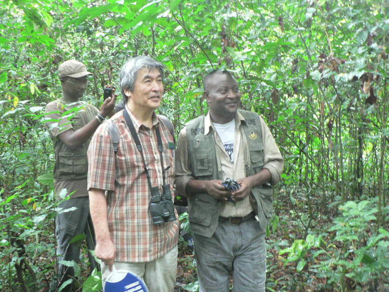 山極さんは実際にゴリラの住む森でフィールドワークを続けてきた。アフリカ中西部の国・ガボンにて。