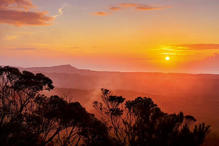 【国頭村】与那覇岳の山上から眺める美しい日の出。