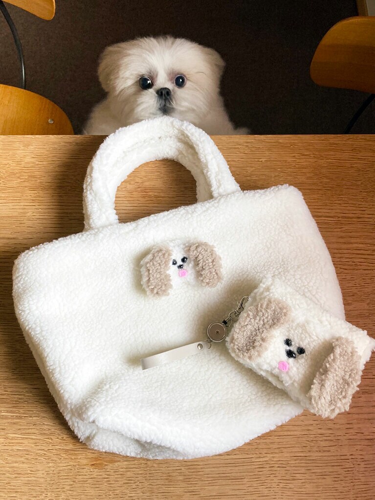 左：フォトもこぞうTSH 5,500円／merry jenny右：もこもこもこぞうバッグ 5,000円、もこもこもこぞうパスケース 5,000円／以上merry jenny