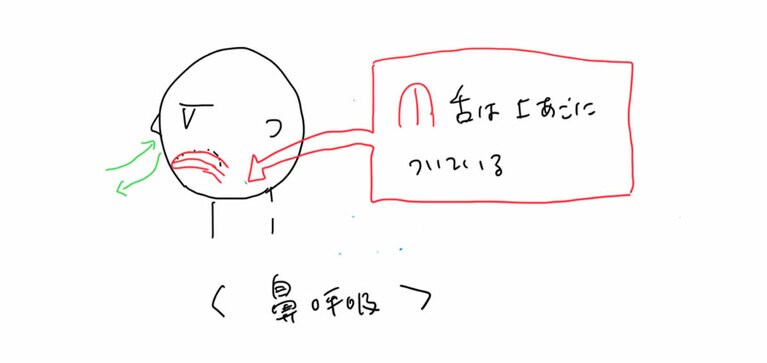 舌は「上あご」についている。
