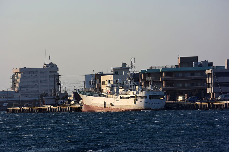 歴史ある港町、三崎港。マグロの遠洋漁業が盛んだった頃の名残が残っています。