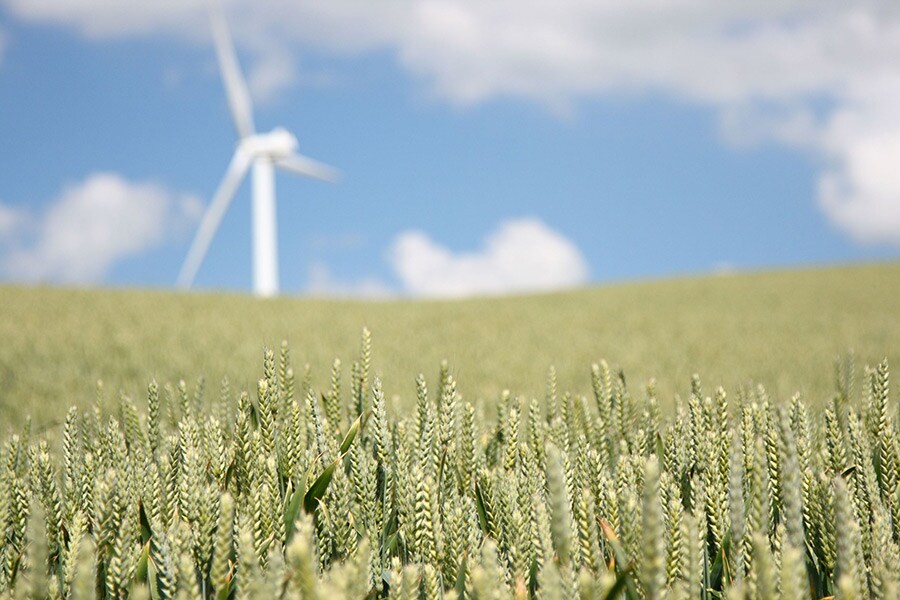 小麦畑のむこうに立つ風力発電の原動機。サステイナブルの取り組みが、次世代へとつなぐイノベーションを次々と生み出しています。Photo: maridav/123RF