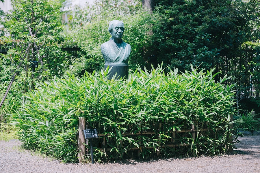 スエコザサに囲まれている牧野博士の胸像。