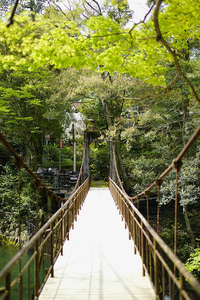 おちあいろう［静岡／天城湯ヶ島温泉］広大な敷地内には吊橋も。