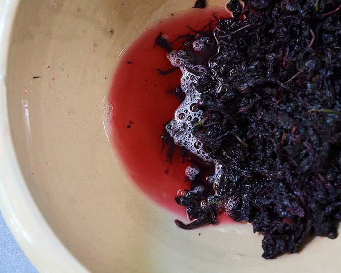 梅暦、梅料理 梅暦、梅料理 / 乗松 祥子【著】/田淵 暁【写真】 - 紀伊國屋