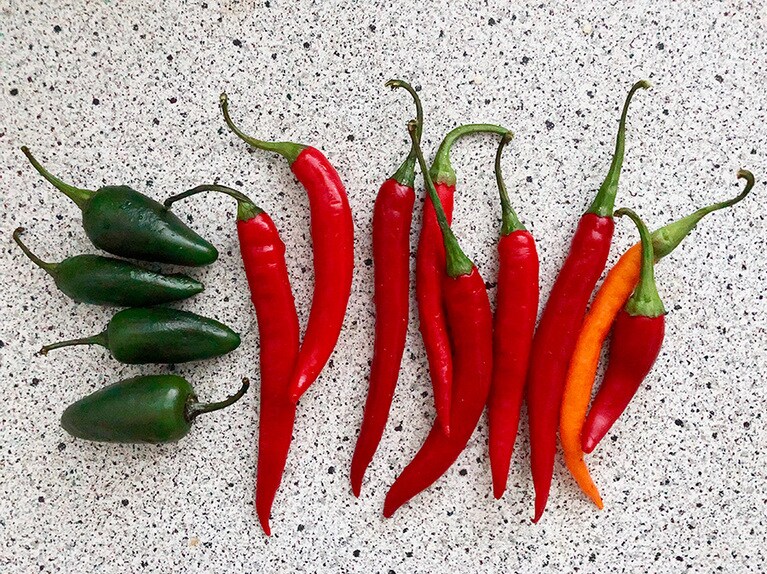 辛い唐辛子(緑)とそれほど辛くないもの(赤)を合わせたり、韓国のキムチ用の唐辛子で作ってもまた別の美味しさになります。