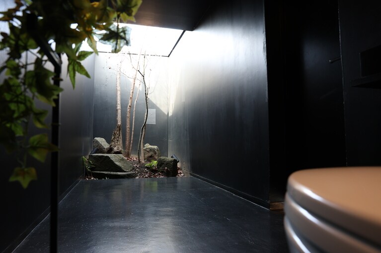 「緑があるトイレ」の中は、吹き抜けが設けられ、吹き抜け部には落葉樹が植えられている。トイレとは思えない空間。