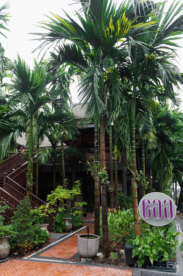 レストランを囲むヤシの木々は、ここが大都市の住宅地であることを忘れさせる。