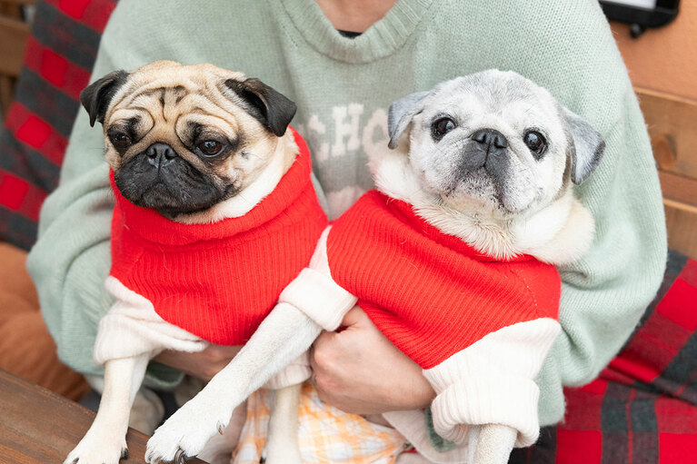 アザーカット。