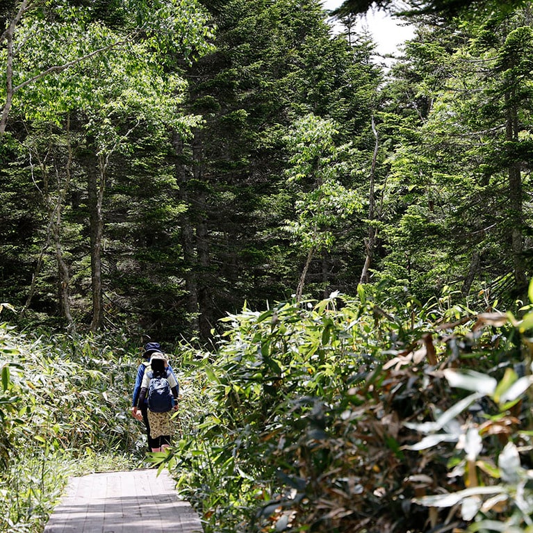 尾瀬に行くなら2泊以上の連泊がおすすめ。