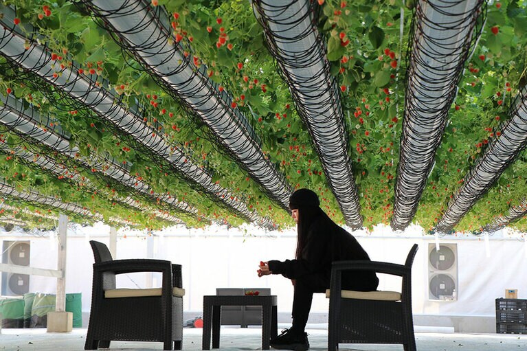 ととりべファーム。