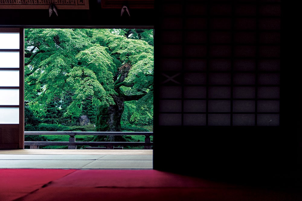 本堂からは見事な一枚絵のように見ることができる。最初のお堂は鎌倉初期に建てられた。