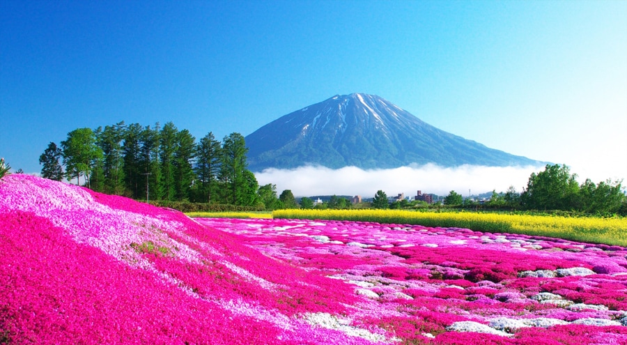 ニセコのイメージ。四季折々に表情を変え、北海道の大自然が心を潤す。